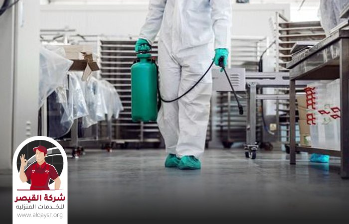 شركة مكافحة حشرات في الجموم 3 شركة مكافحة حشرات في الجموم