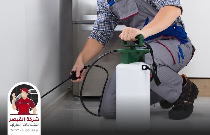 شركة مكافحة النحل بمكة